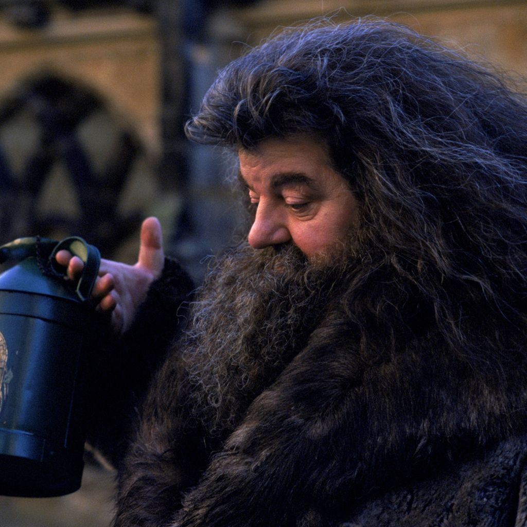 Robbie Coltrane als Hagrid in "Harry Potter und die Kammer des Schreckens"