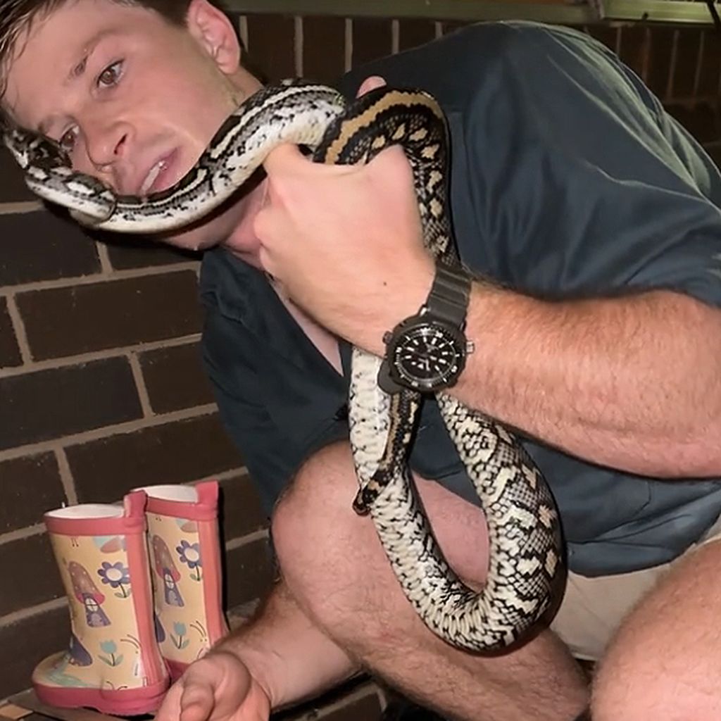 Robert Irwin beim Fund einer Schlange in seinem Schuhregal im Dezember 2024