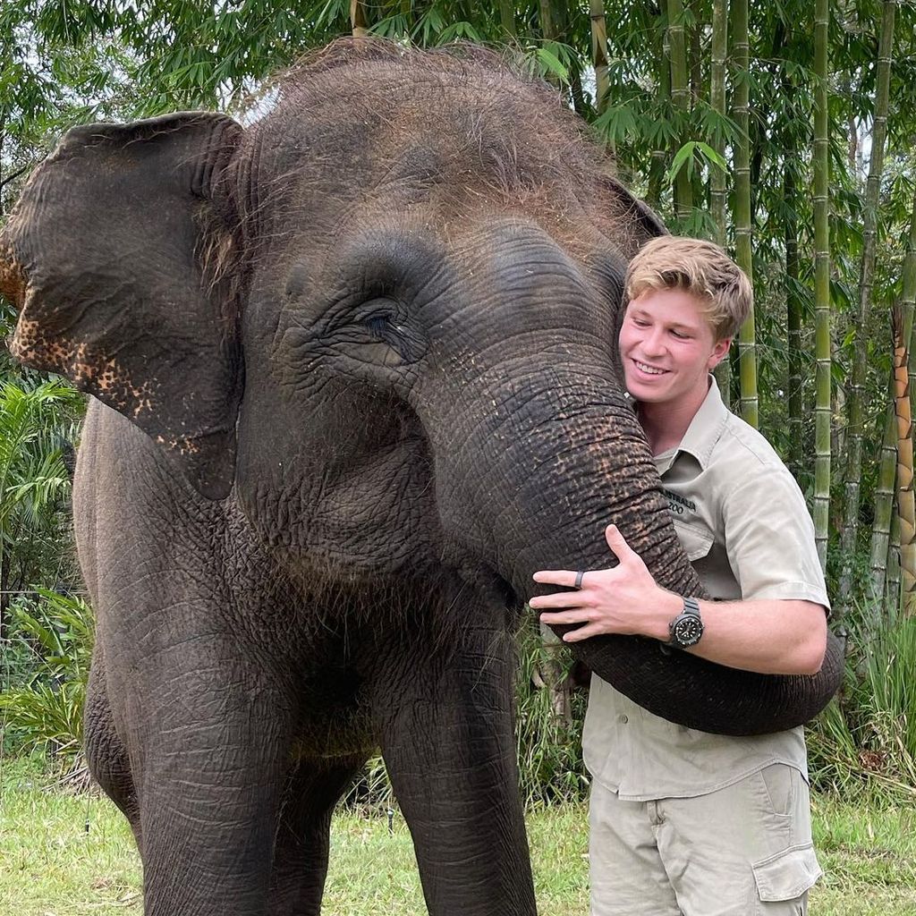 Robert Irwin, Tierfotograf