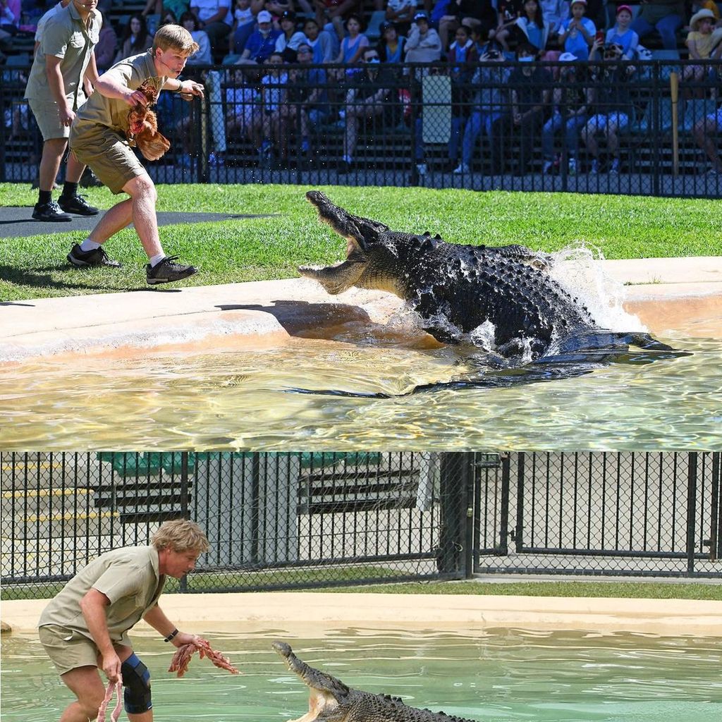 Robert Irwin und Steve Irwin
