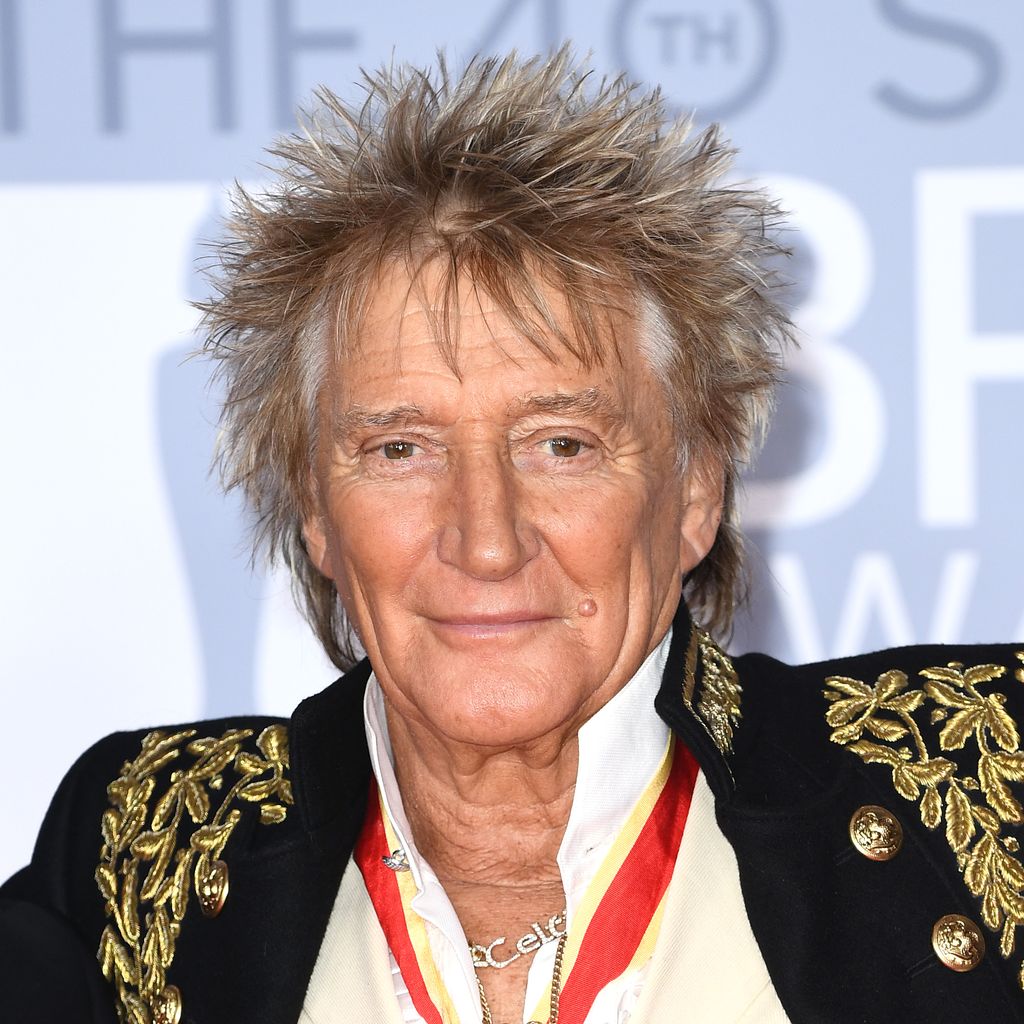 Rod Stewart, Musiker