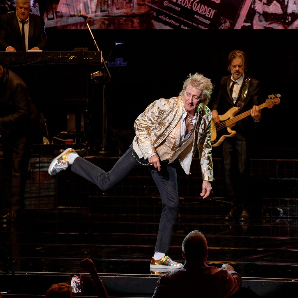 Rod Stewart, Musiker
