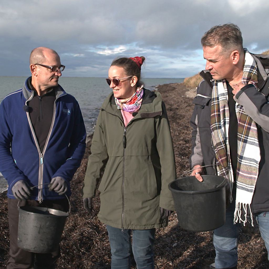 Ron, Nadine und David bei "Bauer sucht Frau International" 2026