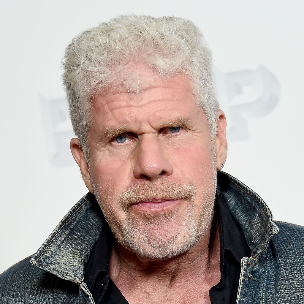 Schauspieler Ron Perlman