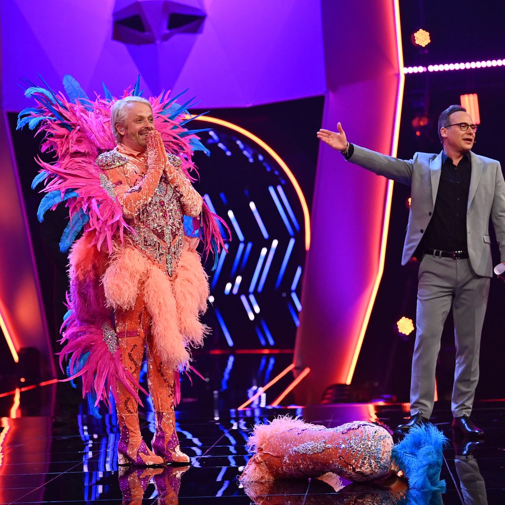 Ross Antony als Flamingo bei "The Masked Singer"