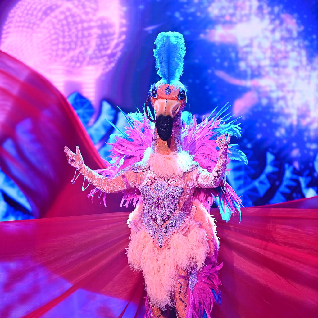 Ross Antony als Flamingo bei "The Masked Singer"