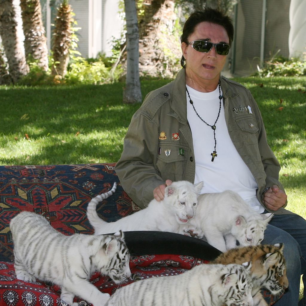 Magier Roy Horn mit jungen Tigern, 2008