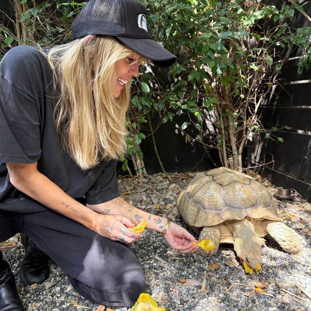 Sängerin Miley Cyrus adoptiert eine rund 20 Jahre alte Schildkröte aus Afrika, Mai 2026.