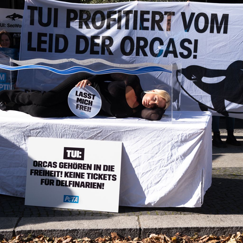 Sarah Connor bei einer Peta-Protestaktion im Oktober 2024