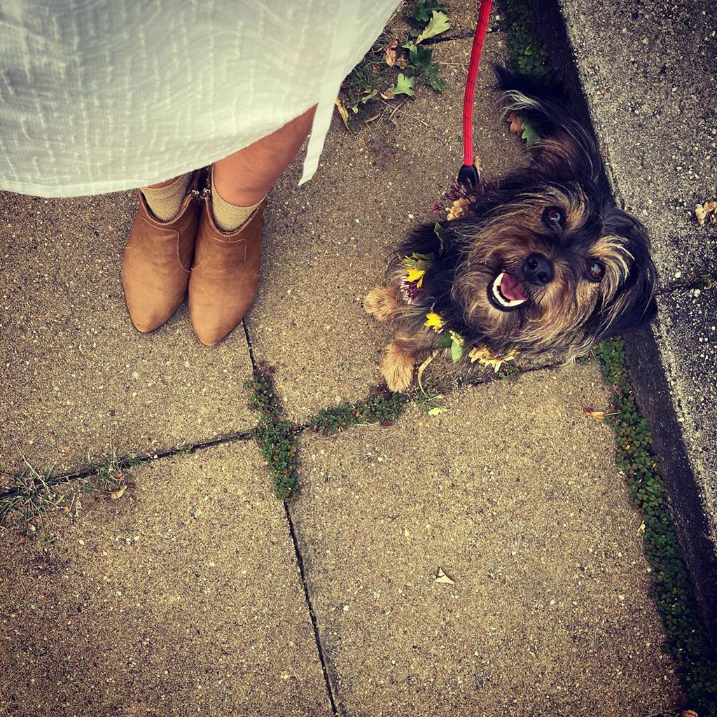 Sarah Kuttners Hund