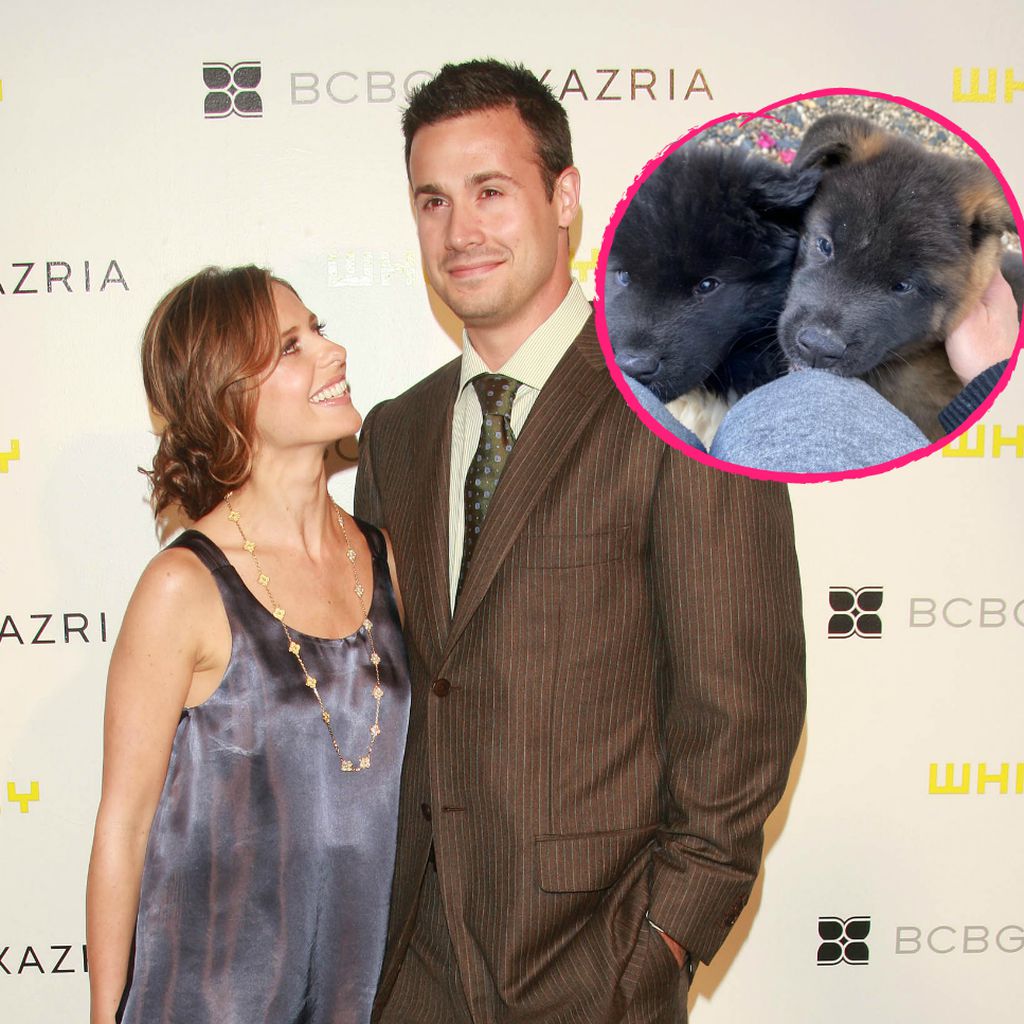 Sarah Michelle Gellar, Freddie Prinze Junior und ihre Welpen