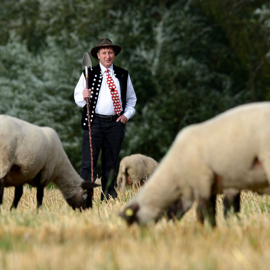 Schäfer Heinrich, "Bauer sucht Frau"-Kultteilnehmer