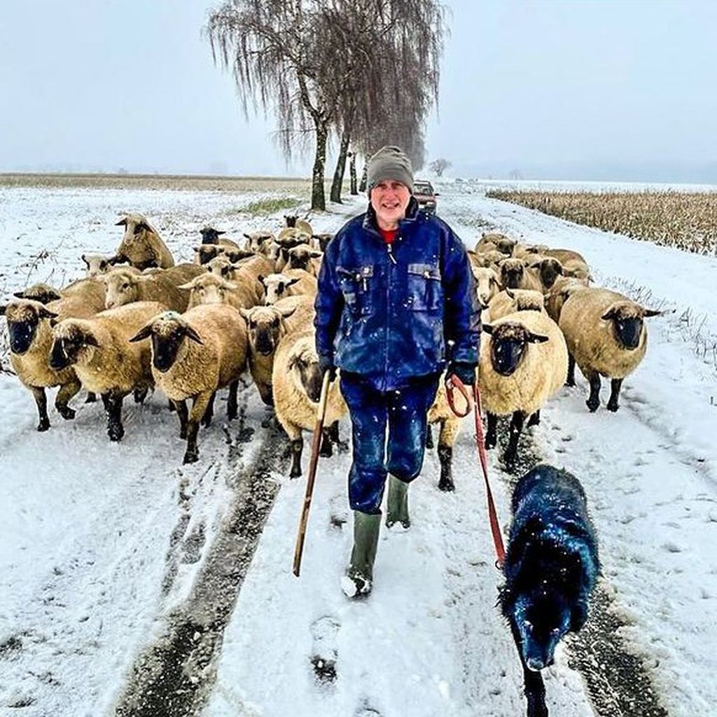 Schäfer Heinrich im Januar 2021