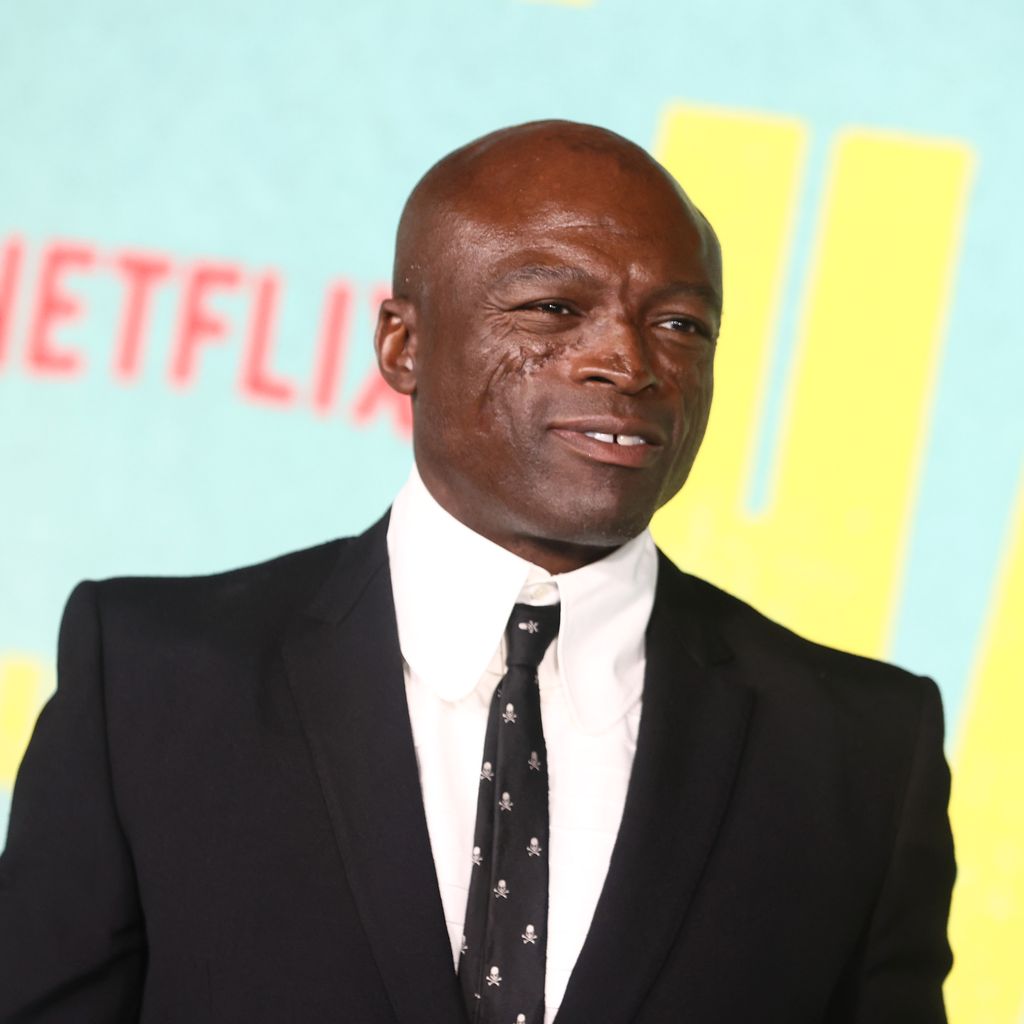 Seal, Musiker