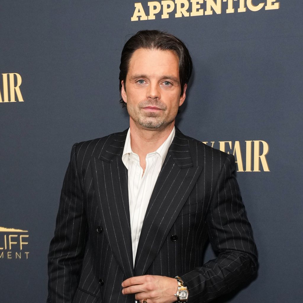 Sebastian Stan, Schauspieler