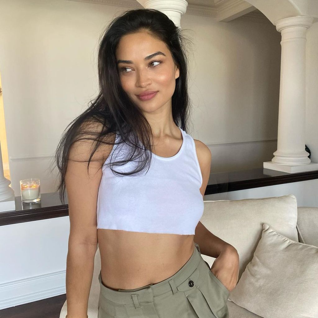 Shanina Shaik, Model