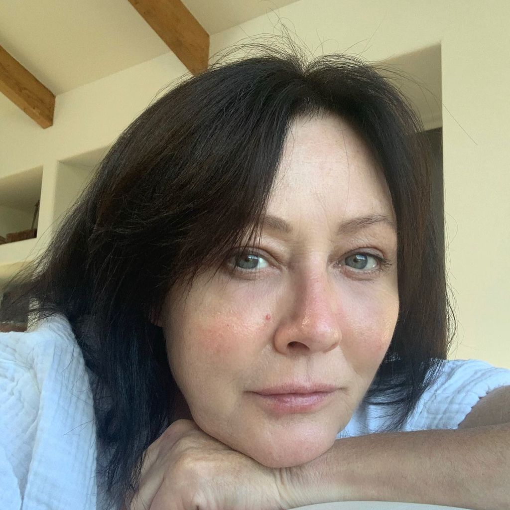Shannen Doherty, TV-Serien-Bekanntheit