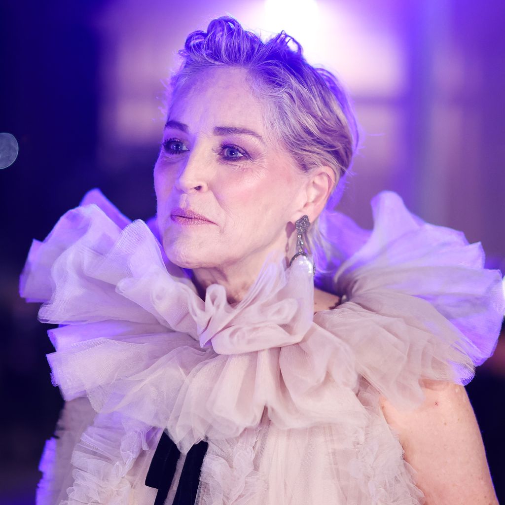 Sharon Stone, Schauspielerin