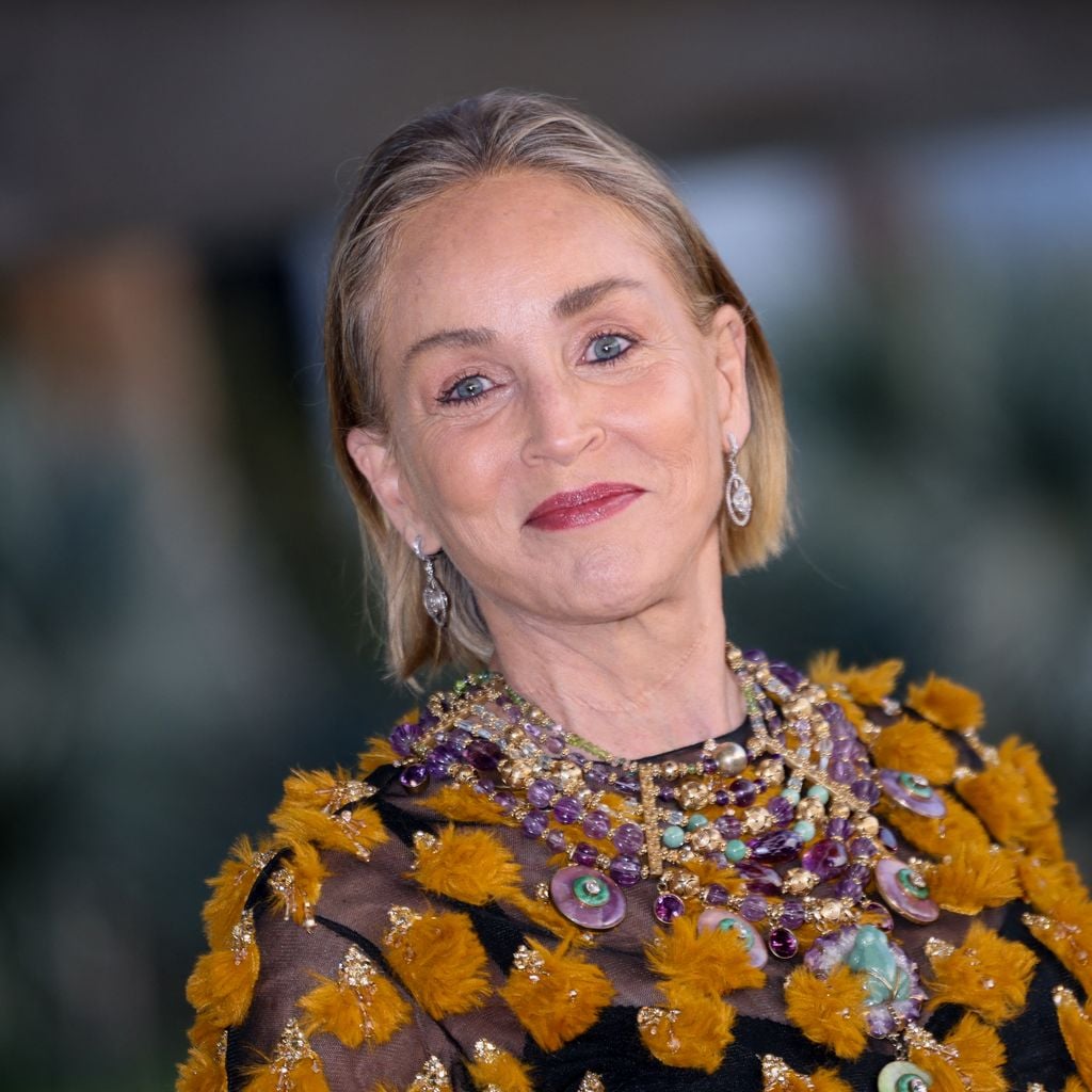 Sharon Stone bei der LACMA-Eröffnungsgala der David Geffen Galleries in Los Angeles am 16. April 2026