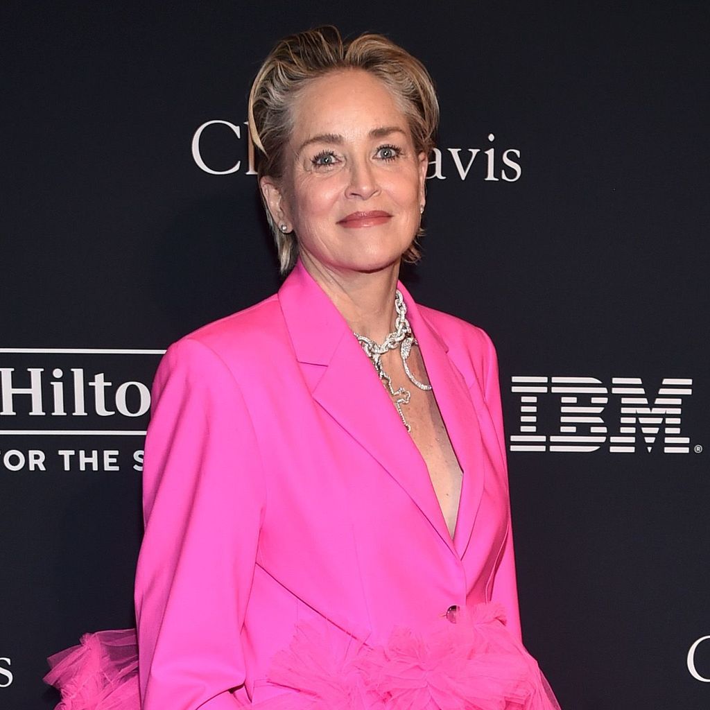 Sharon Stone, Hollywoodstar