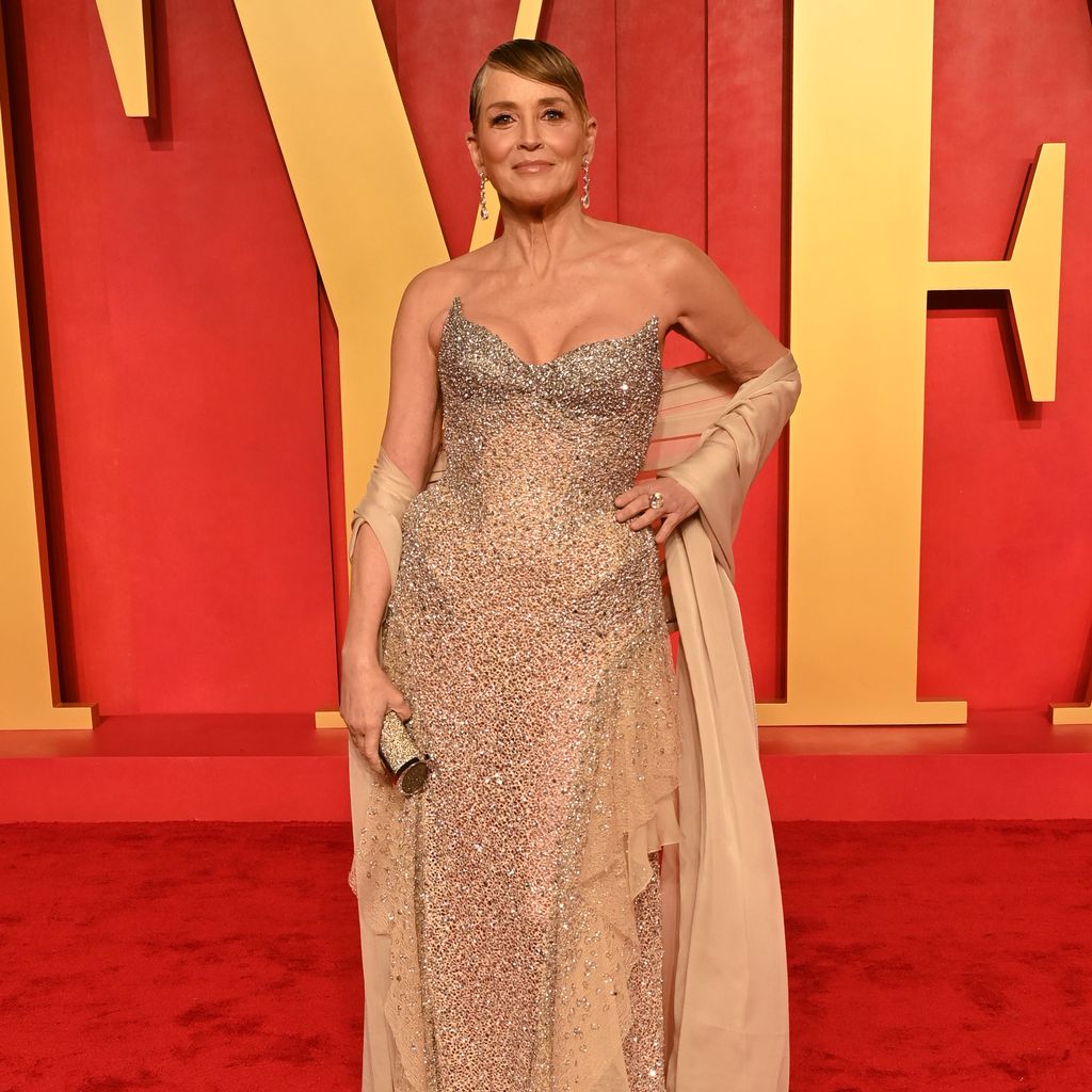 Sharon Stone, Hollywoodstar