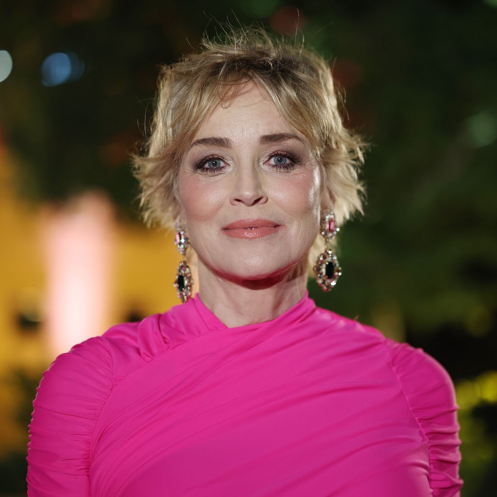 Sharon Stone, Schauspielerin