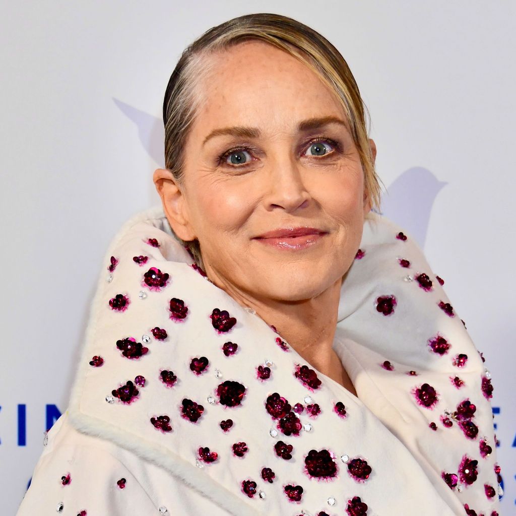 Sharon Stone, Hollywood-Schauspielerin