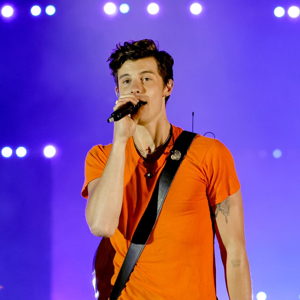 Shawn Mendes, 2022