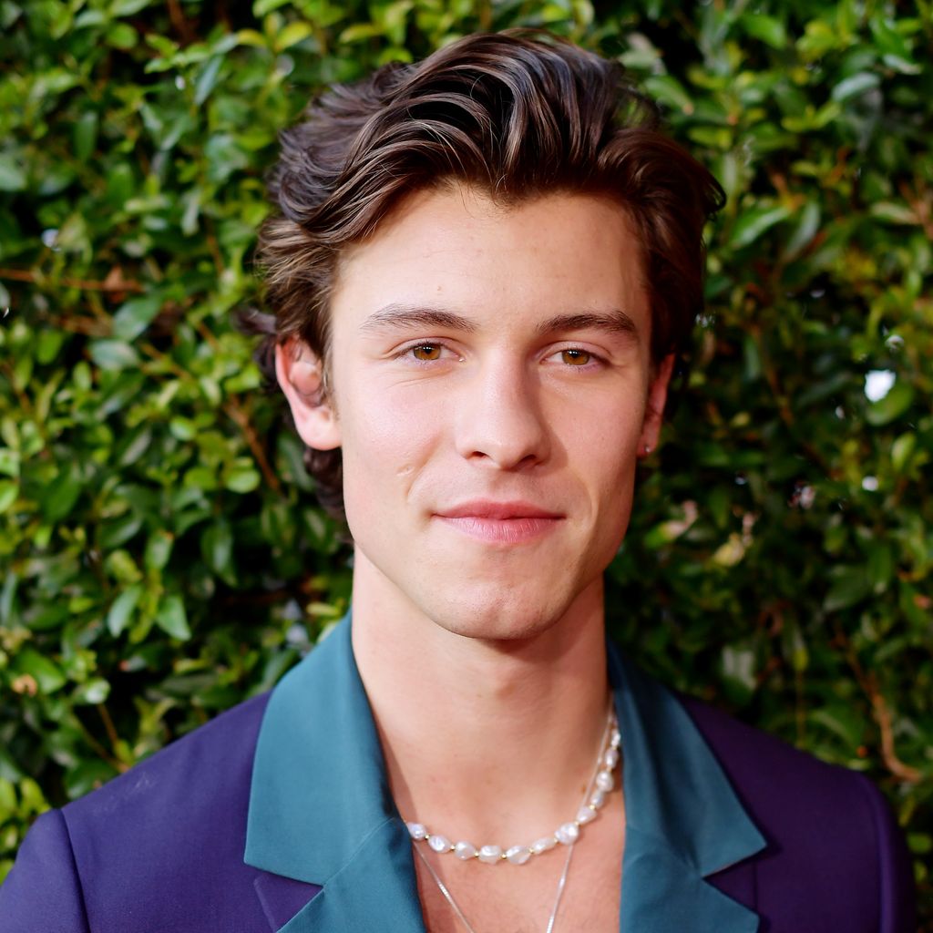 Shawn Mendes, Sänger