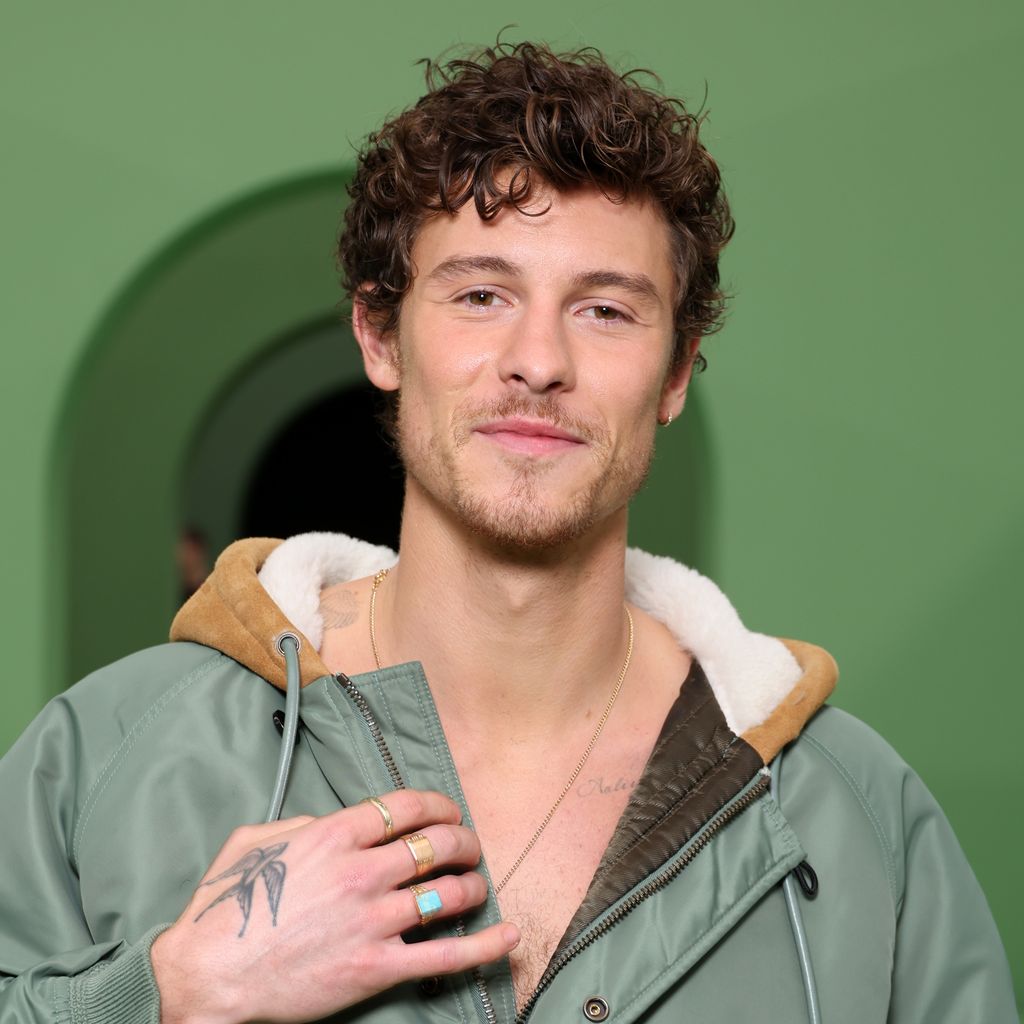 Shawn Mendes, 2024