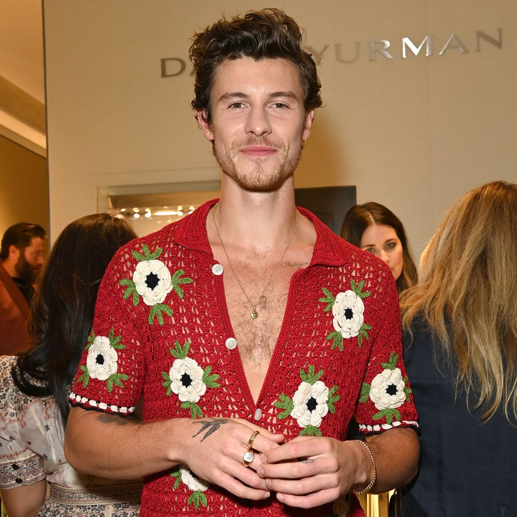 Shawn Mendes im November 2023