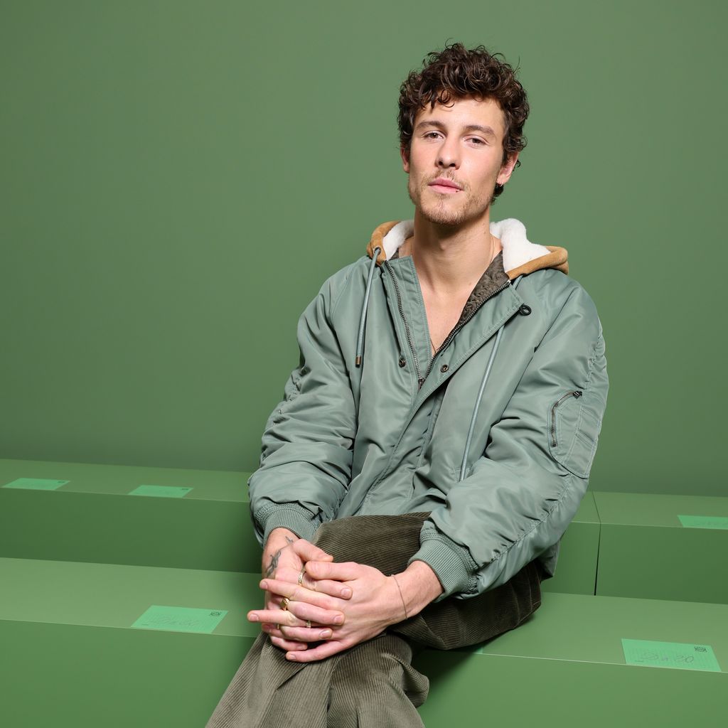 Shawn Mendes, Sänger