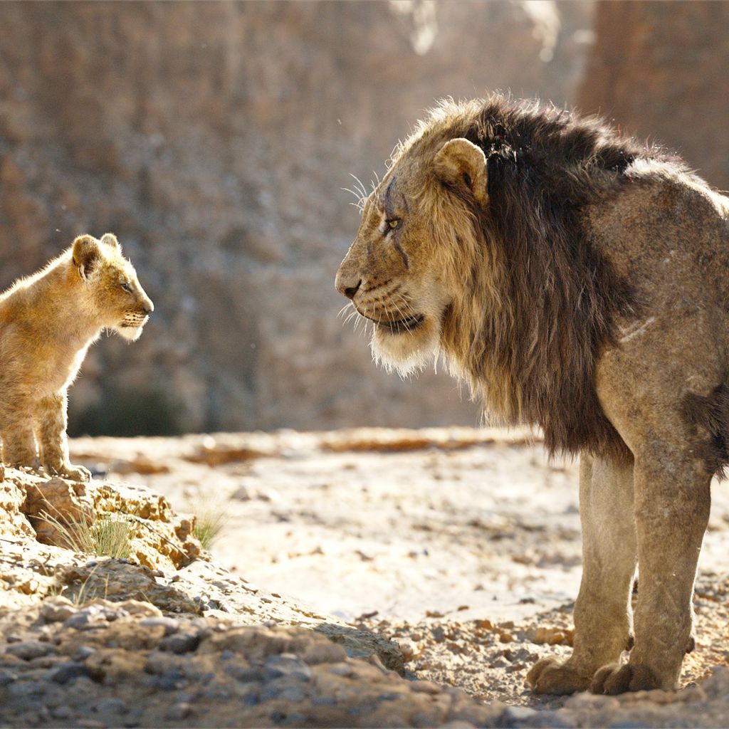 Simba und Scar aus dem "Der König der Löwen"-Remake