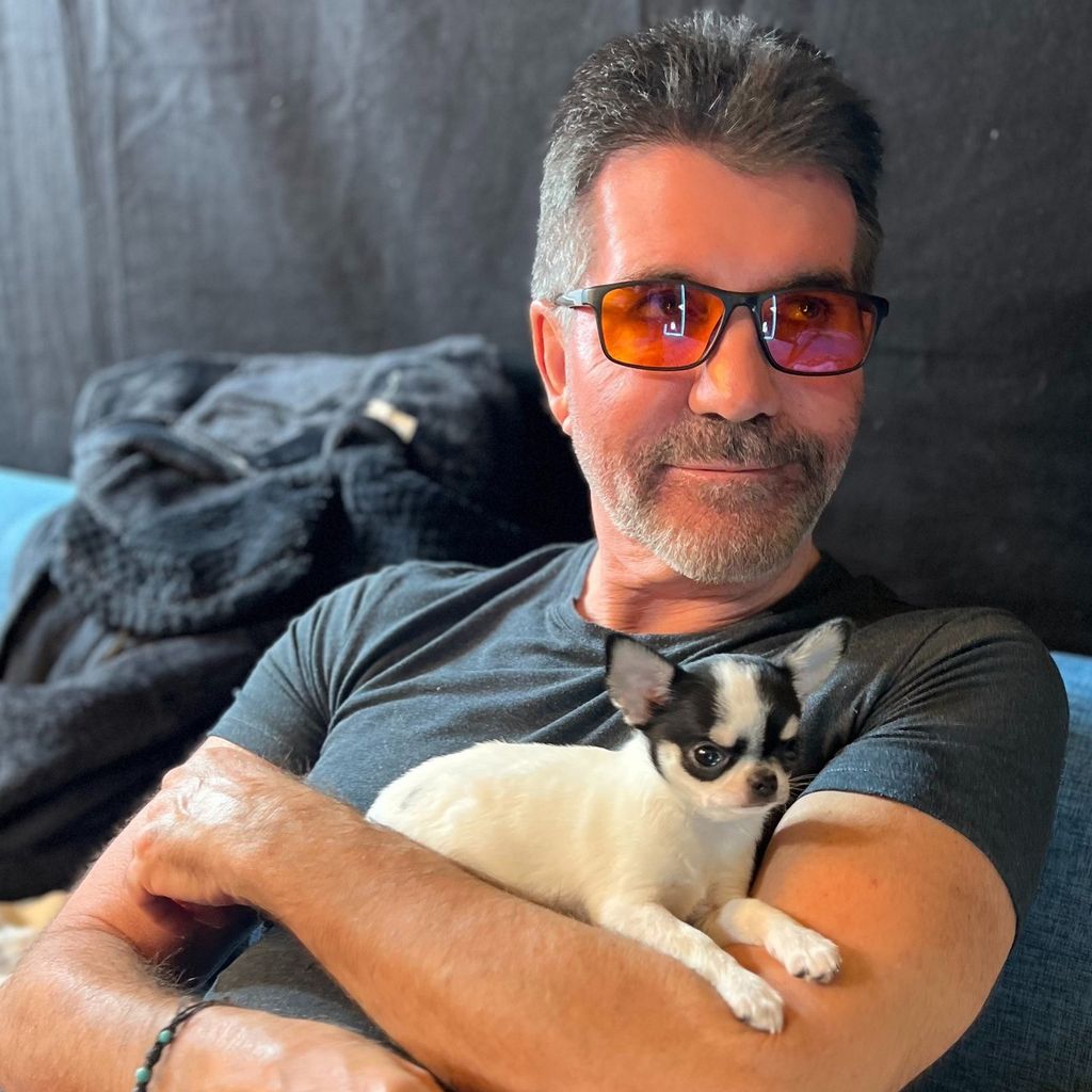 Simon Cowell mit seinem Hund