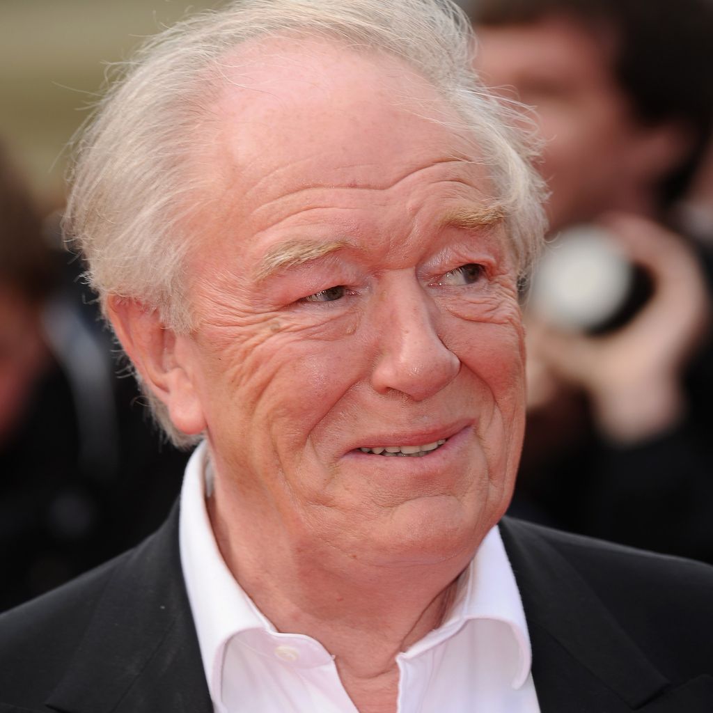 Sir Michael Gambon, Schauspieler