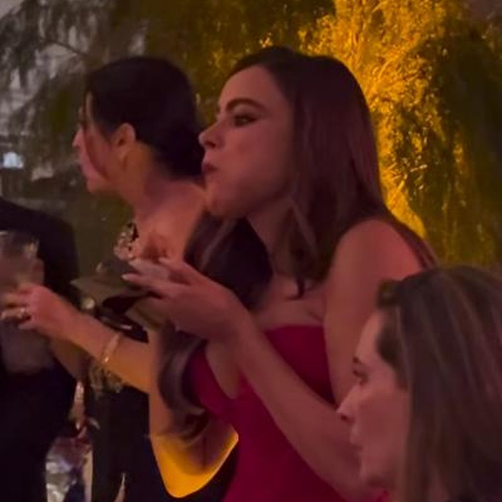Sofia Vergara, Schauspielerin