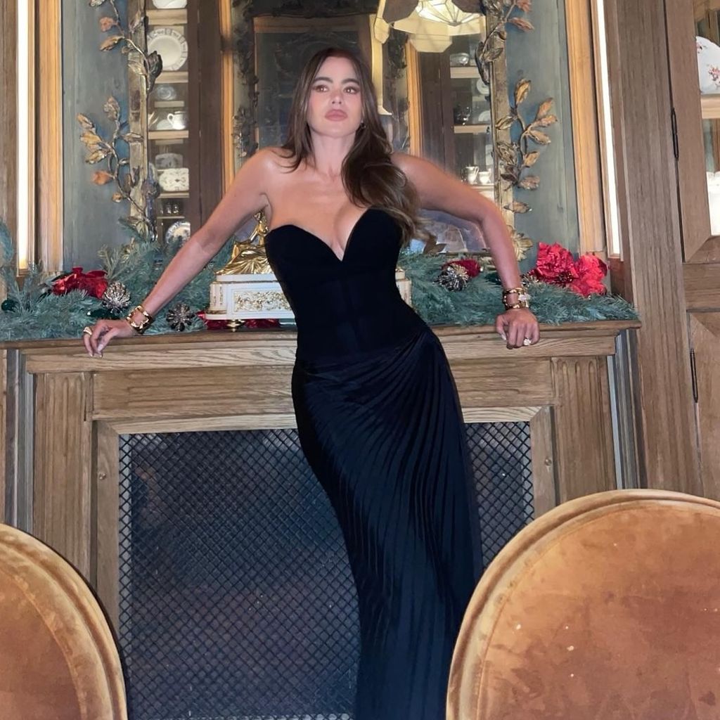 Sofía Vergara an Neujahr 2025