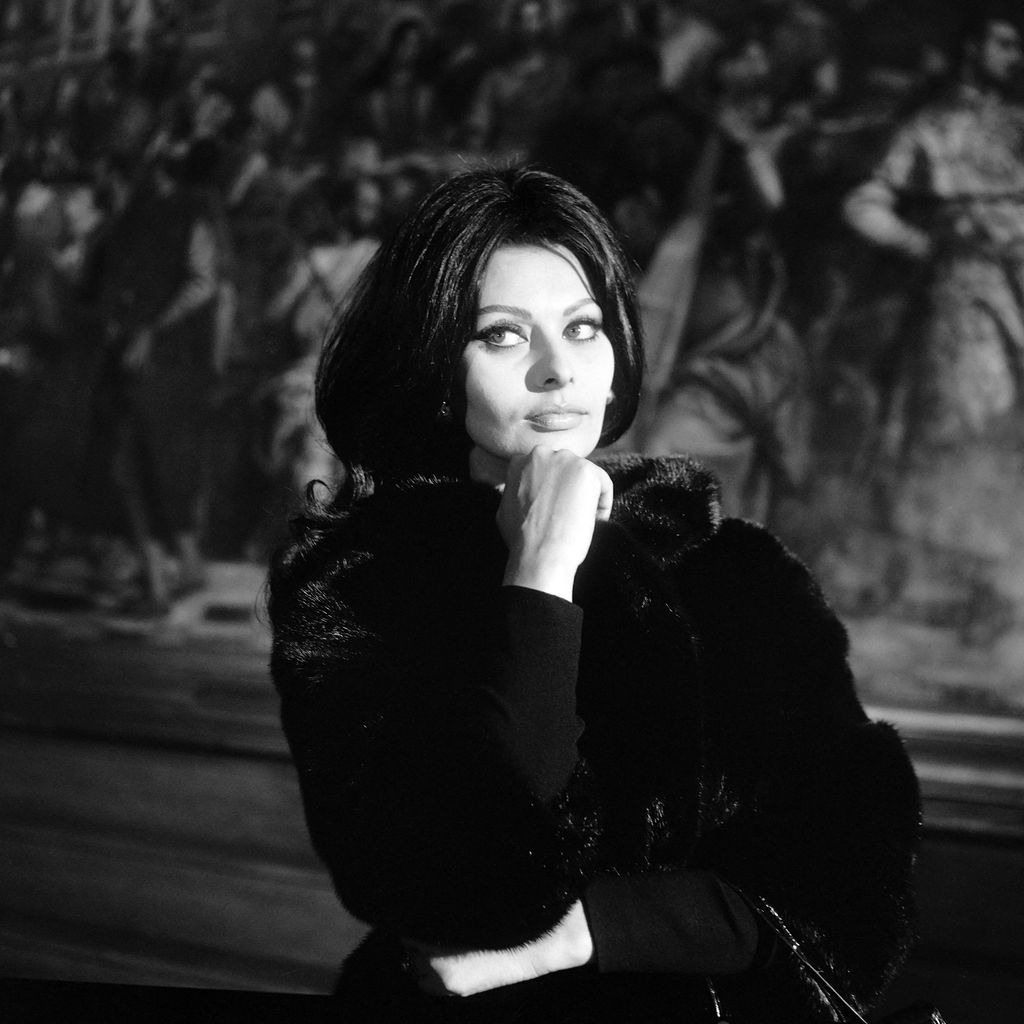 Schauspielerin Sophia Loren im Jahr 1964
