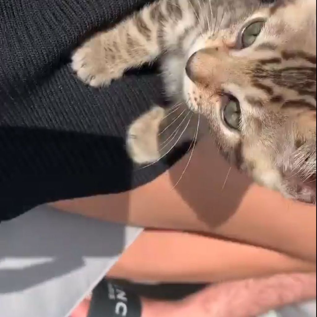 Sophie Lilian Marstatt und ihre Katze