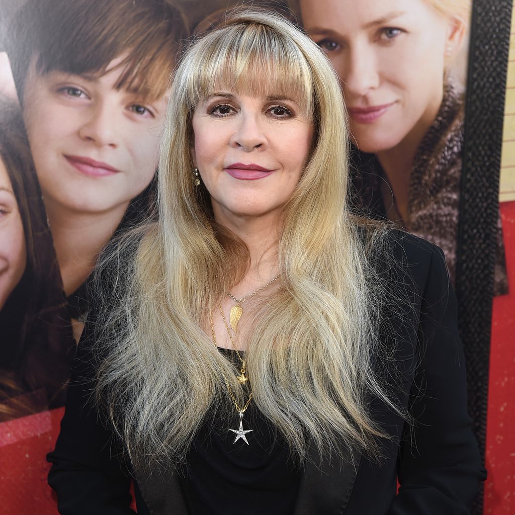 Sängerin Stevie Nicks