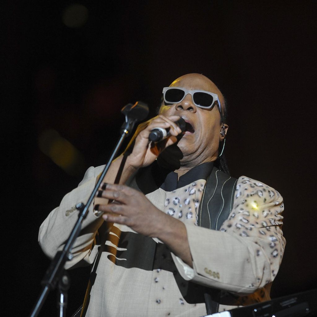 Sänger Stevie Wonder