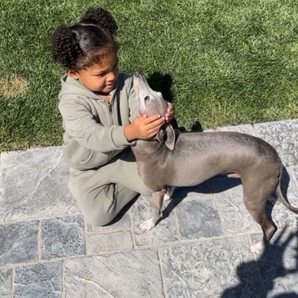 Kylie Jenners Tochter Stormi mit ihrem Hund Norman