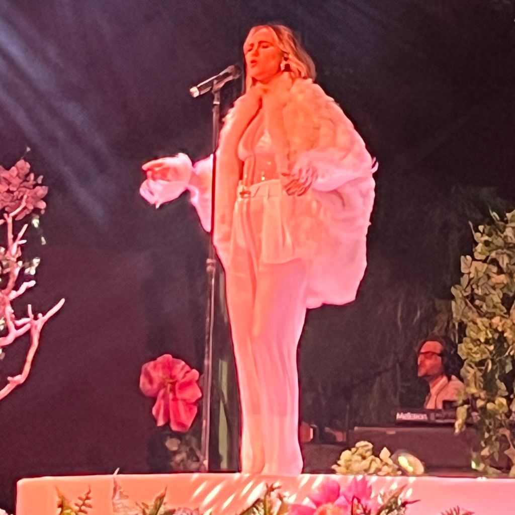 Suki Waterhouse auf dem Coachella-Festival, 2024