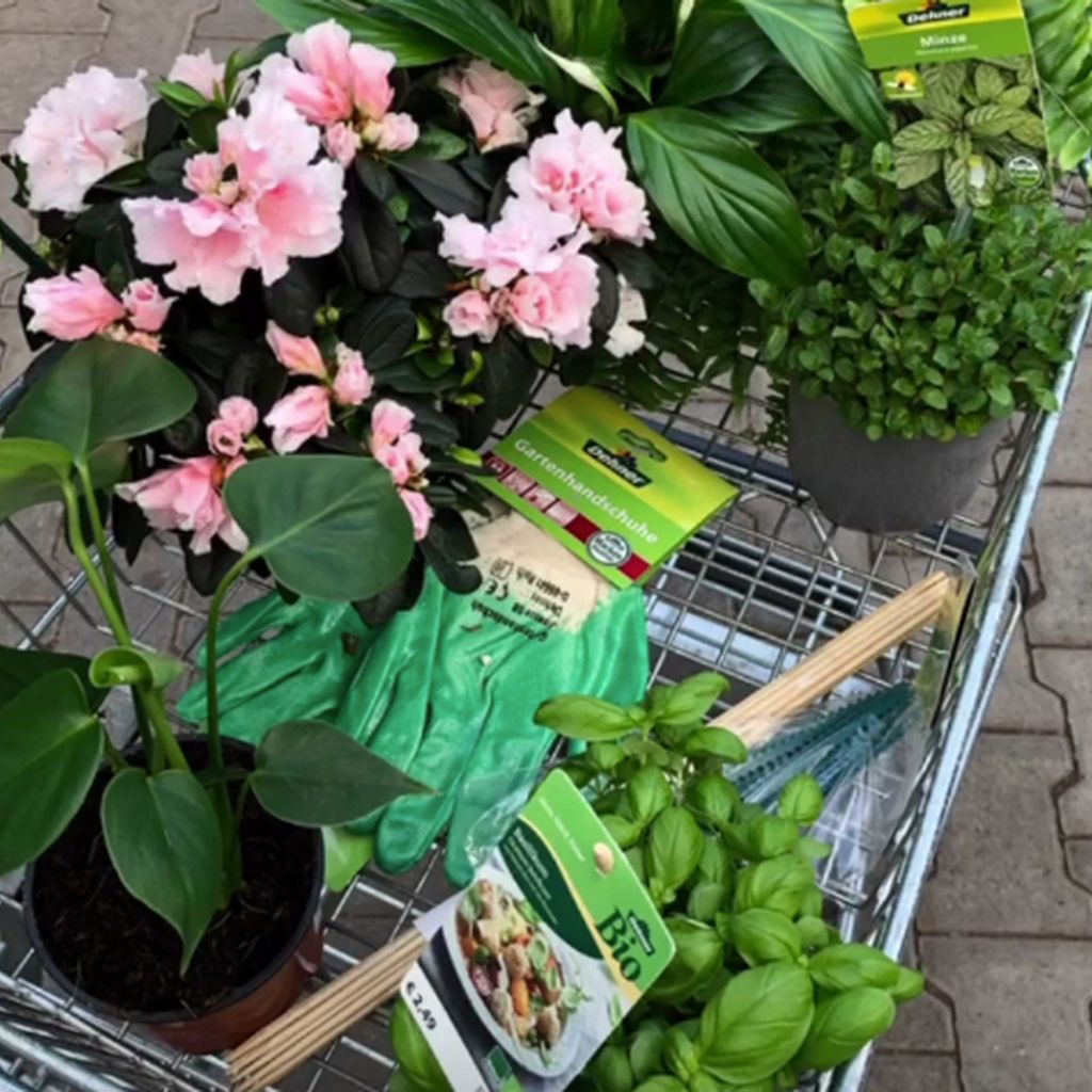 Svenja von Wreses Blumeneinkauf
