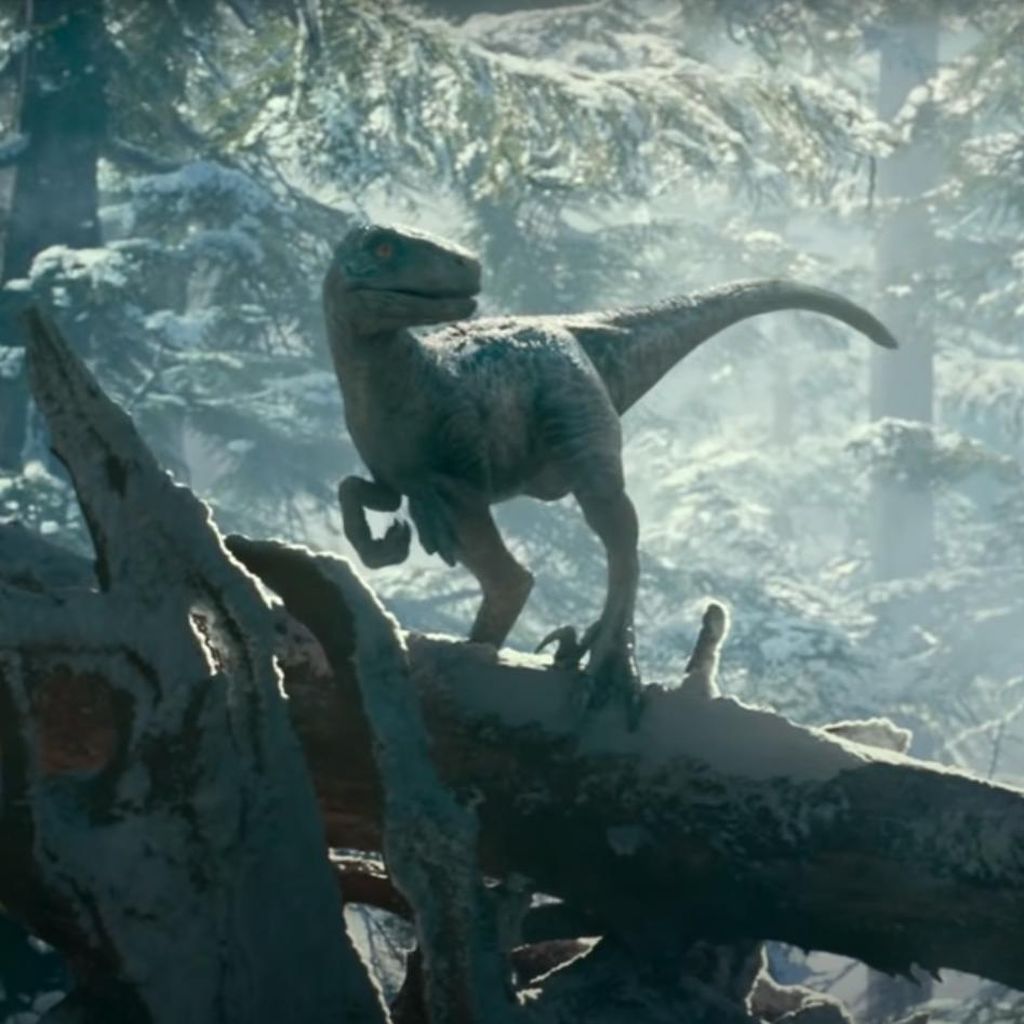Szene aus "Jurassic World: Ein neues Zeitalter"