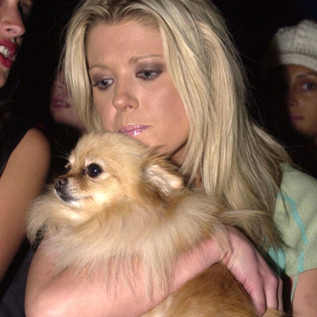 Tara Reid, Schauspielerin