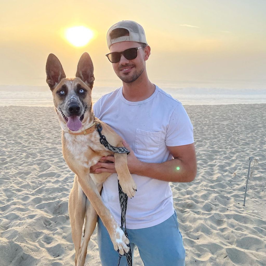 Taylor Lautner mit seiner Hündin Remi
