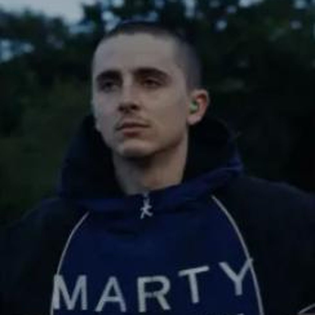 Timothée Chalamet, Schauspieler