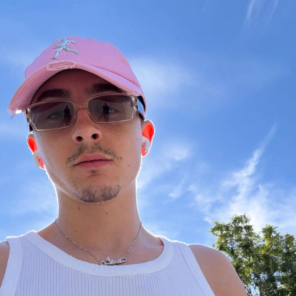 Timothée Chalamet, Schauspieler