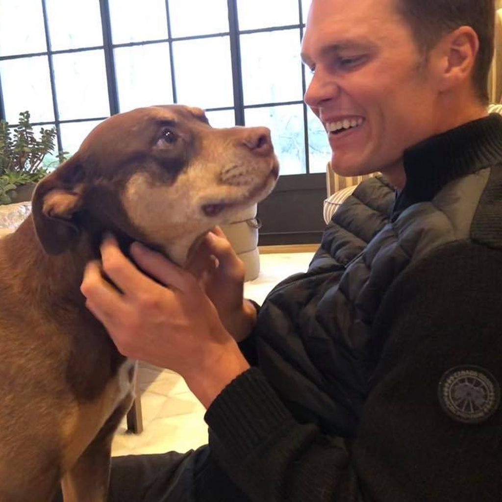 Tom Brady und sein Hund Lua, April 2018